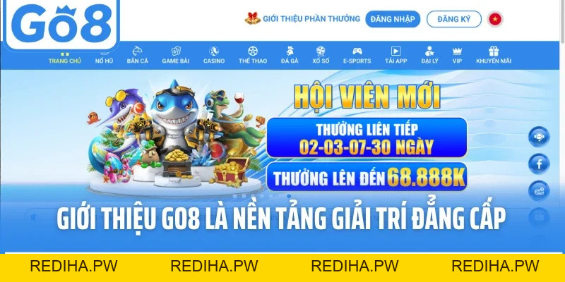 Giới Thiệu Go8 - Nền Tảng Giải Trí Trực Tuyến Đẳng Cấp 2026 - REDIHA.PW