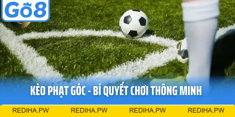 Sảnh Saba - Thiên Đường Thể Thao Online Với Kèo Đa Dạng  - REDIHA.PW