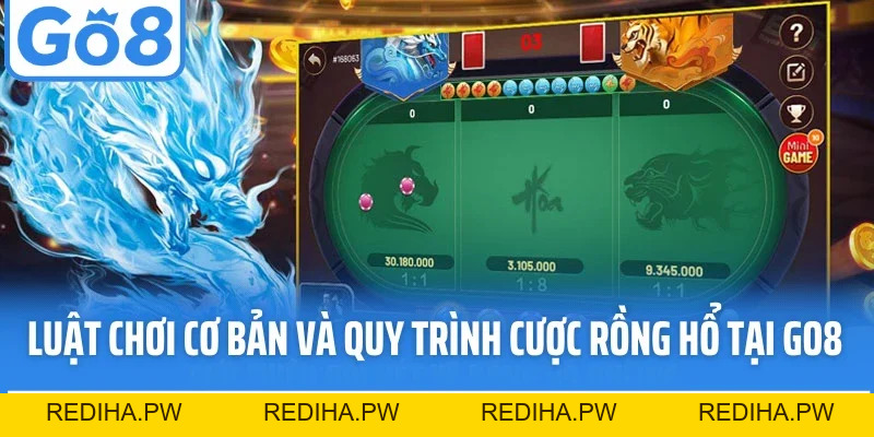 Rồng Hổ Go8 - Game Tốc Độ Đỉnh Cao Với Luật Chơi Dễ Hiểu - REDIHA.PW