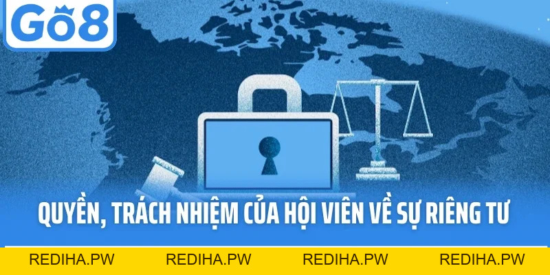 Quyền Riêng Tư Go8 - Nền Tảng An Toàn, Minh Bạch Tuyệt Đối - REDIHA.PW